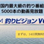 タイドグラフの正しい見方を覚えて釣果をあげる方法 Runablog